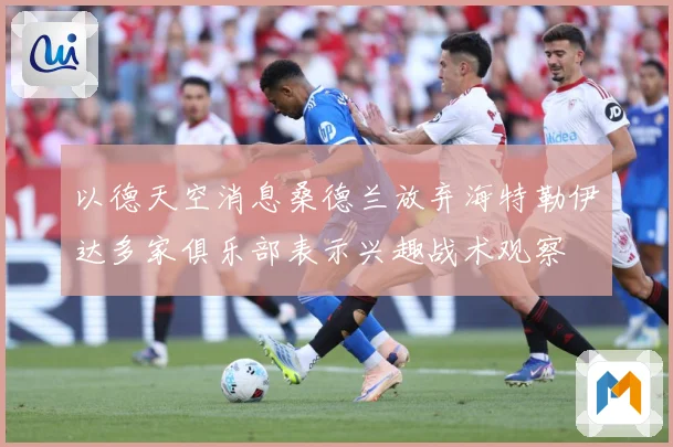以德天空消息桑德兰放弃海特勒伊达多家俱乐部表示兴趣战术观察