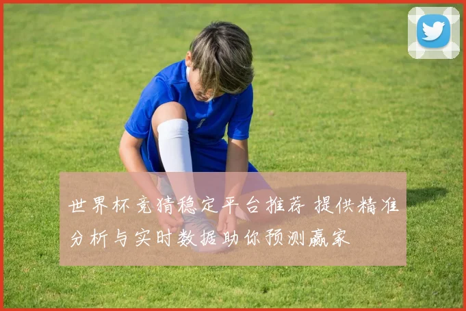 世界杯竞猜稳定平台推荐 提供精准分析与实时数据助你预测赢家