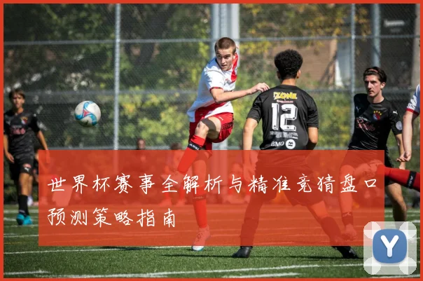 世界杯赛事全解析与精准竞猜盘口预测策略指南