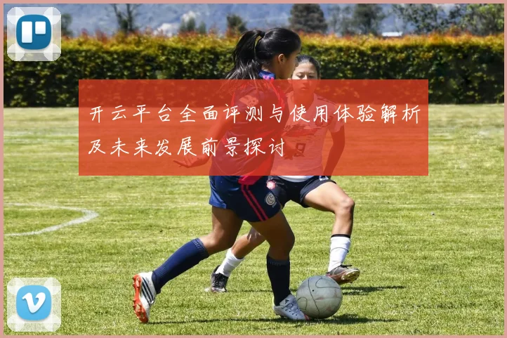 开云平台全面评测与使用体验解析及未来发展前景探讨