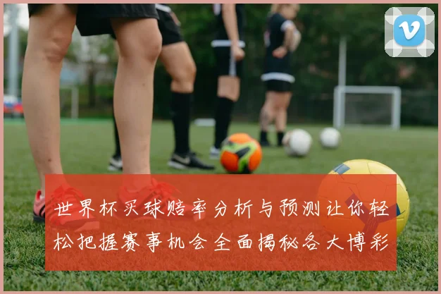 世界杯买球赔率分析与预测让你轻松把握赛事机会全面揭秘各大博彩公司最新赔率走势