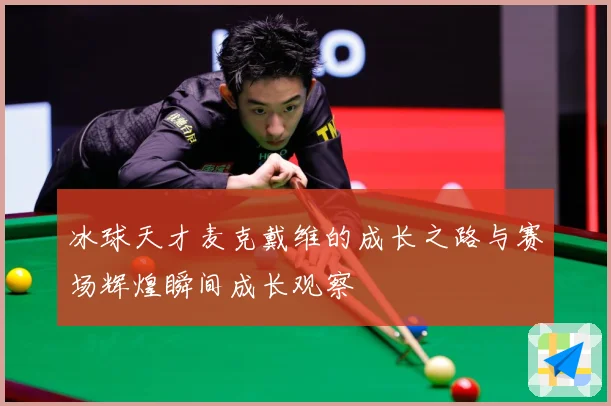 冰球天才麦克戴维的成长之路与赛场辉煌瞬间成长观察