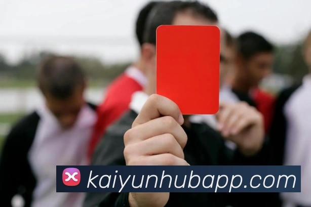 开云平台展示图